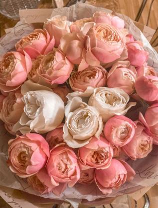 Композиции