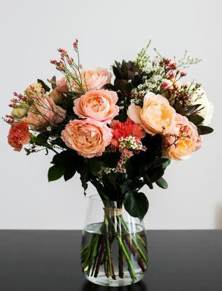 Горшковые цветы